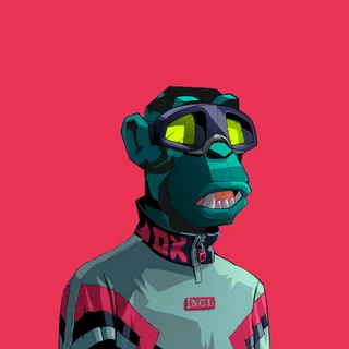 Primate #9350