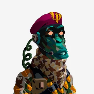Primate #920