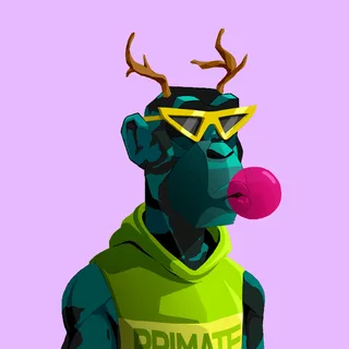Primate #404