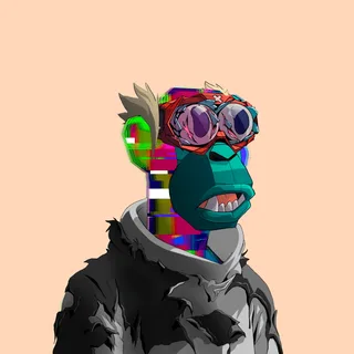 Primate #5044