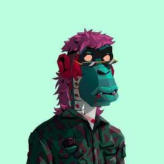 Primate #9037