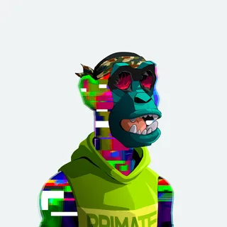 Primate #9153