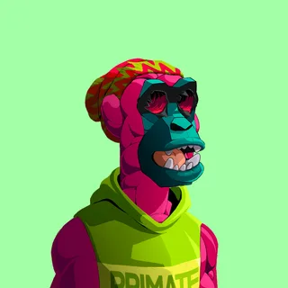 Primate #4742