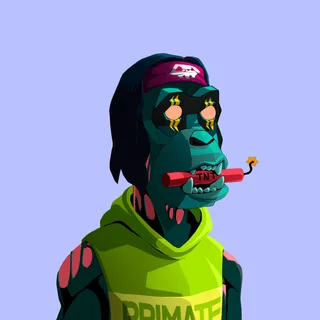 Primate #2377