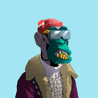 Primate #4000