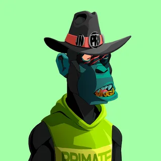 Primate #276