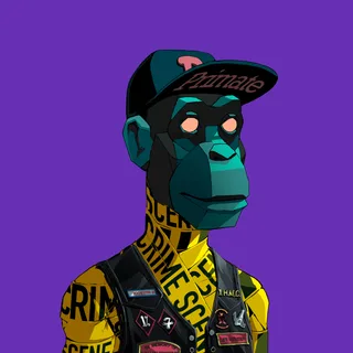 Primate #231