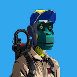 Primate #504