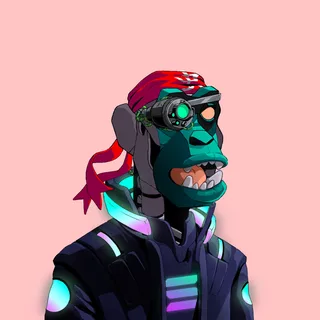 Primate #40