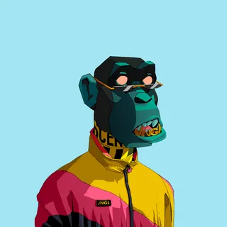 Primate #595