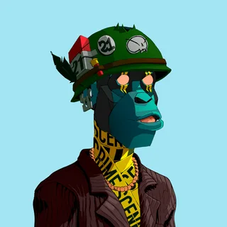 Primate #305
