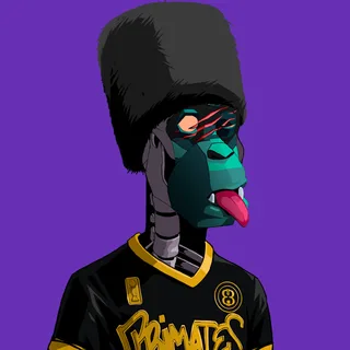 Primate #4241