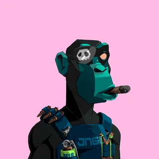 Primate #3856