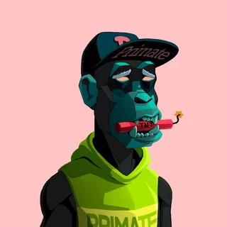 Primate #1888