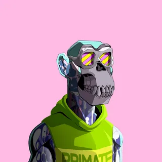 Primate #1173