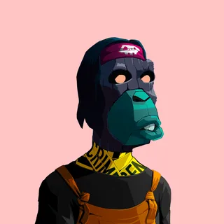 Primate #5656