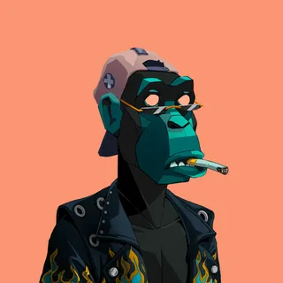 Primate #1570