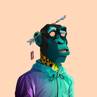 Primate #1649