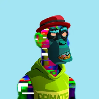 Primate #6477