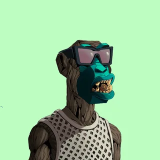 Primate #9593