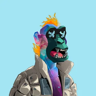 Primate #565