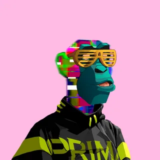Primate #3475