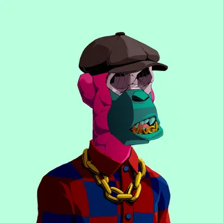 Primate #3382