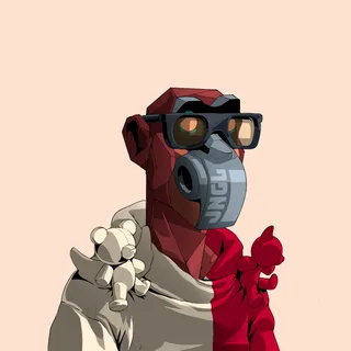 Primate #1568