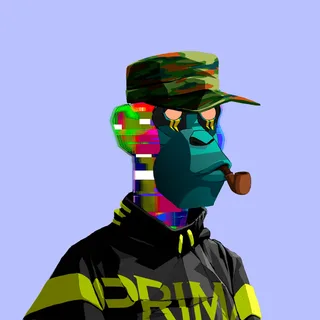 Primate #9519